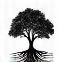 Charlotte Piedmont Nature Conservancy